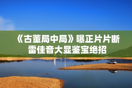 《古董局中局》曝正片片断 雷佳音大显鉴宝绝招