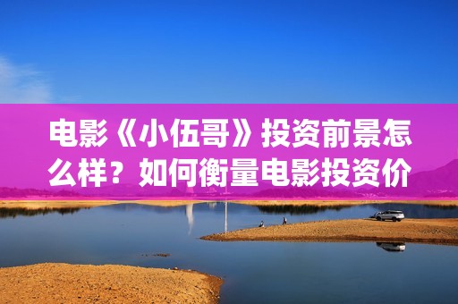 电影《小伍哥》投资前景怎么样？如何衡量电影投资价值？怎么投资？  (电影小伍哥出品方是谁)