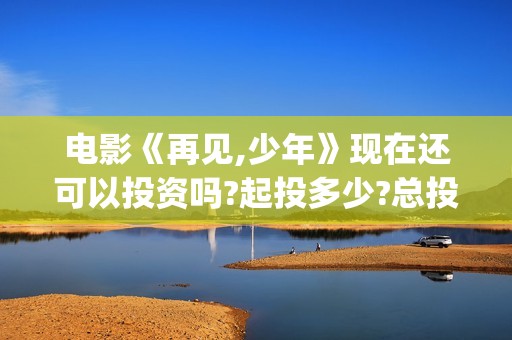 电影《再见,少年》现在还可以投资吗?起投多少?总投资成本多少?(再见 dia)