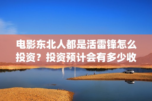 电影东北人都是活雷锋怎么投资？投资预计会有多少收益？(《东北人》)