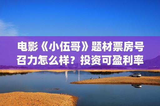 电影《小伍哥》题材票房号召力怎么样？投资可盈利率多少？能确保投资收益吗？(电影《小伍哥》免费观看)