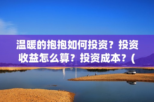 温暖的抱抱如何投资？投资收益怎么算？投资成本？(温暖的抱抱太尴尬)