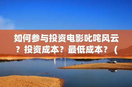 如何参与投资电影叱咤风云？投资成本？最低成本？ (如何参与投资电影)