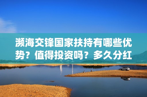 濒海交锋国家扶持有哪些优势？值得投资吗？多久分红？(濒海交锋能投吗)