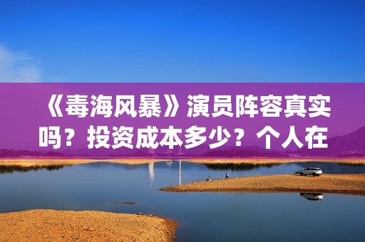 《毒海风暴》演员阵容真实吗？投资成本多少？个人在哪能认购？(《毒海风暴》演员表介绍)