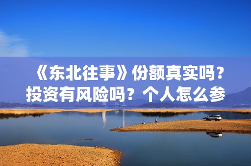《东北往事》份额真实吗？投资有风险吗？个人怎么参与投资？(东北往事片段)