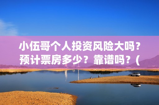 小伍哥个人投资风险大吗？预计票房多少？靠谱吗？(小伍哥出品方)