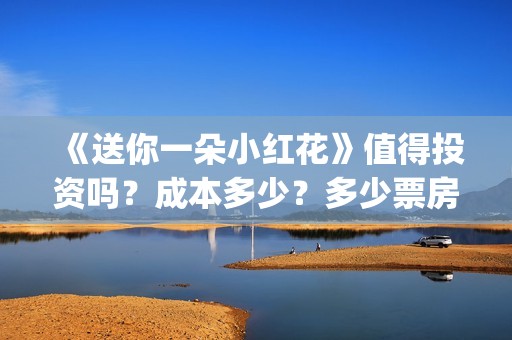 《送你一朵小红花》值得投资吗？成本多少？多少票房回本？(送你一朵小红花mp3下载)