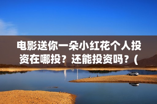电影送你一朵小红花个人投资在哪投？还能投资吗？(电影送你一朵小红花完整版免费观看)