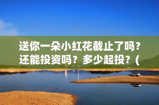 送你一朵小红花截止了吗？还能投资吗？多少起投？(送你一朵小红花电影)