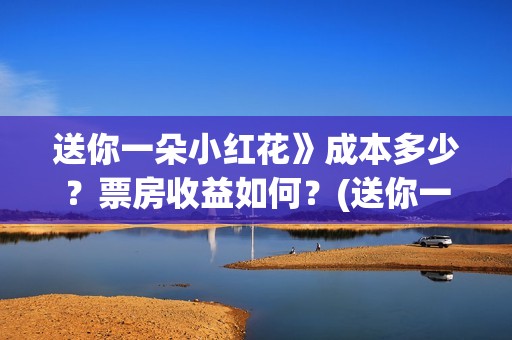 送你一朵小红花》成本多少？票房收益如何？(送你一朵小红花电影)
