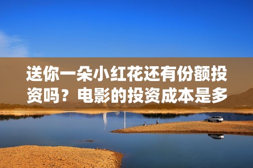 送你一朵小红花还有份额投资吗？电影的投资成本是多少？个人可以参与吗？(送你一朵小红花电影免费观看)