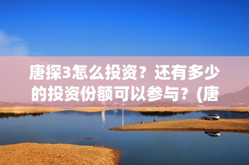 唐探3怎么投资？还有多少的投资份额可以参与？(唐探3如何)