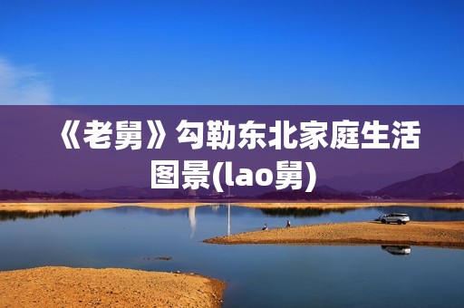 《老舅》勾勒东北家庭生活图景(lao舅)