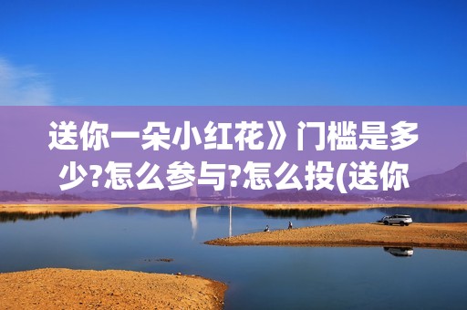 送你一朵小红花》门槛是多少?怎么参与?怎么投(送你一朵小红花歌词表达什么意思)