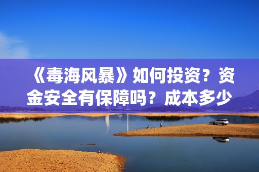 《毒海风暴》如何投资？资金安全有保障吗？成本多少？(毒海风暴上映时间)