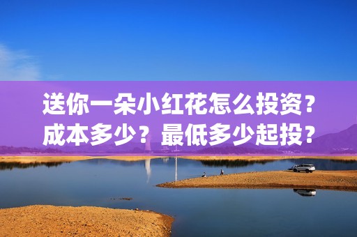 送你一朵小红花怎么投资？成本多少？最低多少起投？(送你一朵小红花演员表)