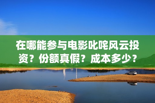 在哪能参与电影叱咤风云投资？份额真假？成本多少？(去哪放电影)