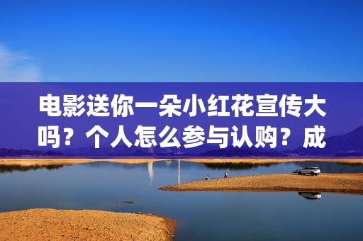 电影送你一朵小红花宣传大吗？个人怎么参与认购？成本是多少？(电影送你一朵小红花完整版免费观看)