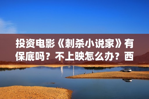 投资电影《刺杀小说家》有保底吗？不上映怎么办？西坝河(刺杀 电影)