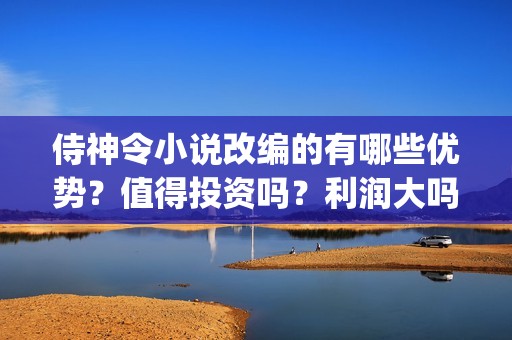 侍神令小说改编的有哪些优势？值得投资吗？利润大吗？(侍神令小说原著)