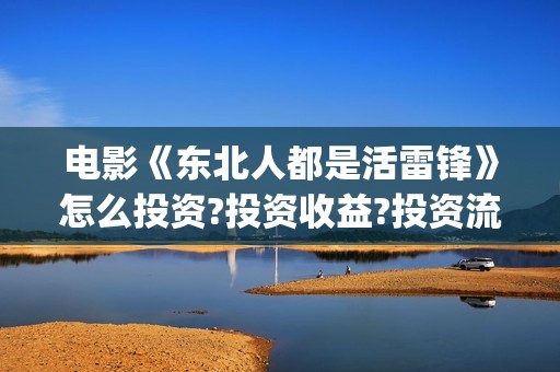 电影《东北人都是活雷锋》怎么投资?投资收益?投资流程?(电视剧东北人)