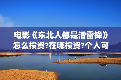 电影《东北人都是活雷锋》怎么投资?在哪投资?个人可以投资吗(看东北人电影)