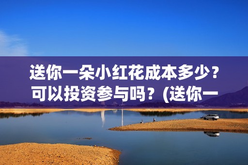 送你一朵小红花成本多少？可以投资参与吗？(送你一朵小红花电影免费观看)
