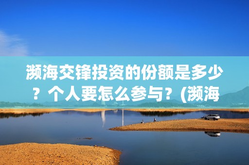 濒海交锋投资的份额是多少？个人要怎么参与？(濒海交锋成本溢价)