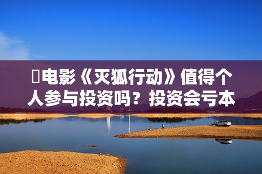 ☞电影《灭狐行动》值得个人参与投资吗？投资会亏本吗？怎么降低投资风险？