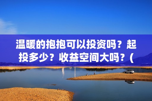 温暖的抱抱可以投资吗？起投多少？收益空间大吗？(温暖的抱抱可以在线看吗)