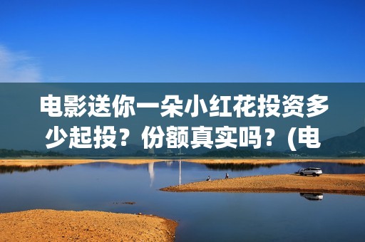 电影送你一朵小红花投资多少起投？份额真实吗？(电影送你一朵小红花简介)