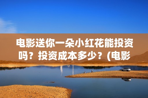 电影送你一朵小红花能投资吗？投资成本多少？(电影送你一朵小红花观后感)