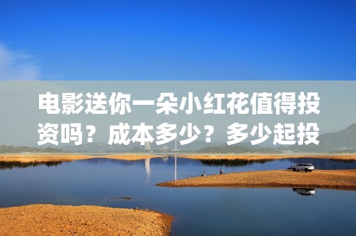 电影送你一朵小红花值得投资吗？成本多少？多少起投？ (电影送你一朵小红花讲述的主题是抗癌吗)