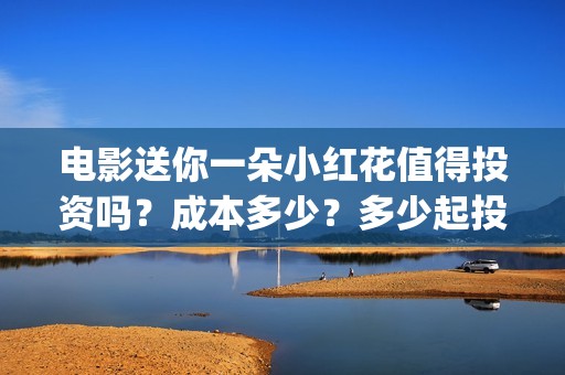 电影送你一朵小红花值得投资吗？成本多少？多少起投？ (电影送你一朵小红花主题曲)