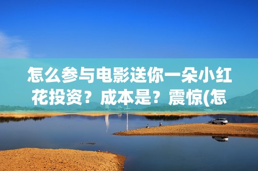 怎么参与电影送你一朵小红花投资？成本是？震惊(怎么赠送电影)