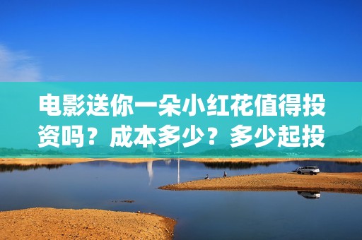 电影送你一朵小红花值得投资吗？成本多少？多少起投？(电影送你一朵小红花简介)