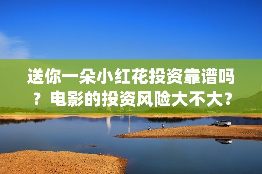 送你一朵小红花投资靠谱吗？电影的投资风险大不大？ (送你一朵小红花歌词表达什么意思)