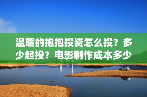 温暖的抱抱投资怎么投？多少起投？电影制作成本多少？(温暖的抱抱投资商)