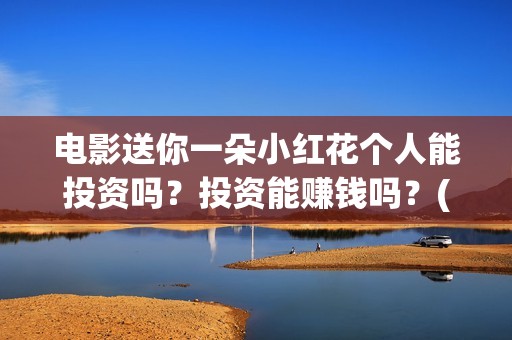 电影送你一朵小红花个人能投资吗？投资能赚钱吗？(电影送你一朵小红花完整版免费观看)
