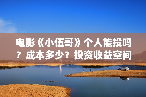 电影《小伍哥》个人能投吗？成本多少？投资收益空间大吗？(小伍哥在线观看)