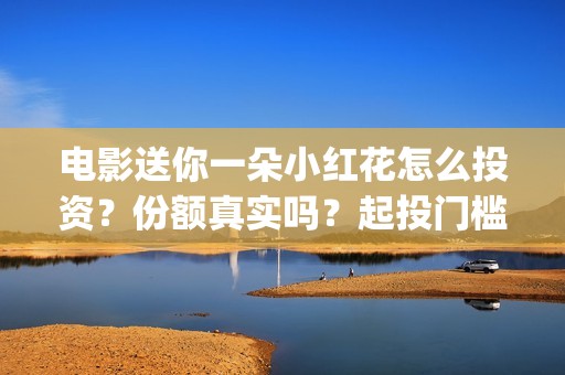 电影送你一朵小红花怎么投资？份额真实吗？起投门槛多少？(电影送你一朵小红花演员表)