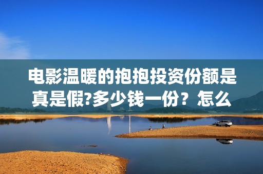 电影温暖的抱抱投资份额是真是假?多少钱一份？怎么投？(电影温暖的抱抱歌曲)