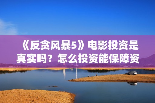 《反贪风暴5》电影投资是真实吗？怎么投资能保障资金安全？(反贪风暴5国语在线观看)