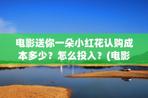 电影送你一朵小红花认购成本多少？怎么投入？(电影送你一朵小红花的英文)