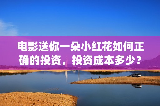 电影送你一朵小红花如何正确的投资，投资成本多少？ (电影送你一朵小红花主题曲)