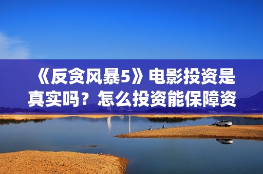 《反贪风暴5》电影投资是真实吗？怎么投资能保障资金安全？(反贪风暴5国语完整版免费观看)