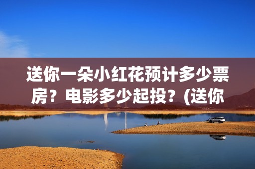 送你一朵小红花预计多少票房？电影多少起投？(送你一朵小红花 歌曲)