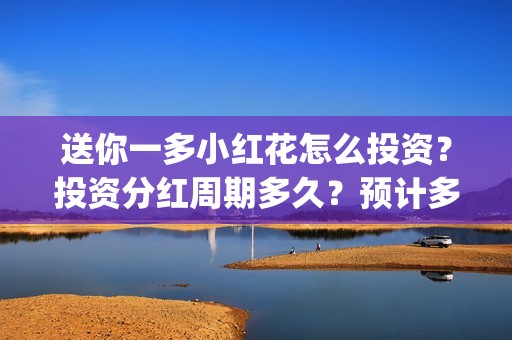 送你一多小红花怎么投资？投资分红周期多久？预计多少票房？(送你一多小红花照片)