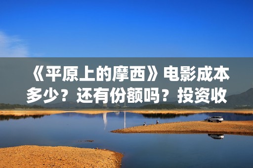 《平原上的摩西》电影成本多少？还有份额吗？投资收益空间大吗？(平原上的摩西电视剧免费观看)